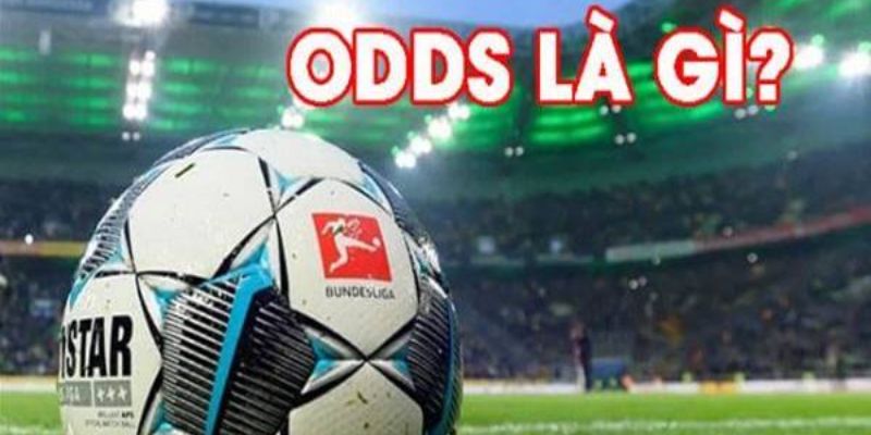 ảnh đại diện odds là gì