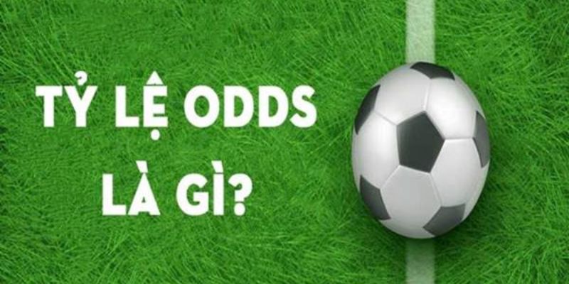 Khái niệm cơ bản của odds trong cá cược bóng đá